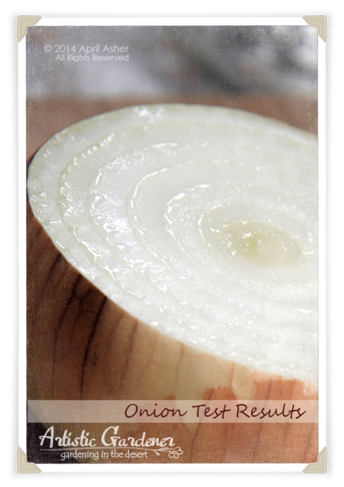 Test Onion Brix