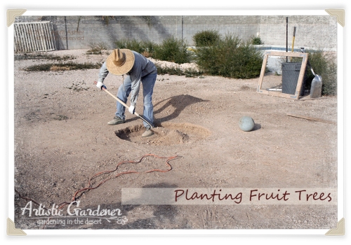 How To  Dig A Hole For Fruit Trees