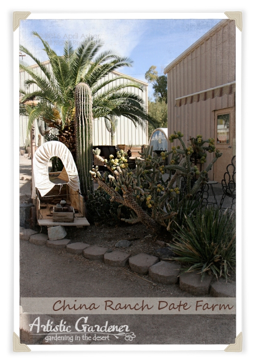 China Date Ranch Bakery
